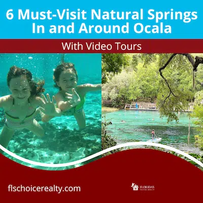 6 of the best natural springs to visit in Ocala