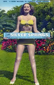 silver-springs-welcome-sign